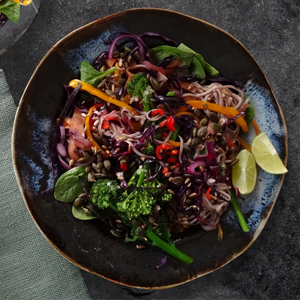 Hot Buckwheat Noodle Salad – King Soba UK
